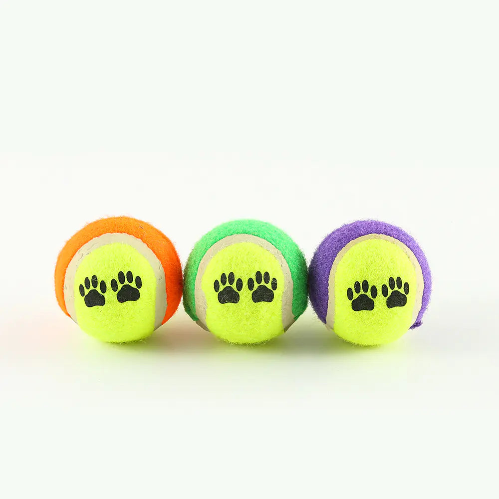 Fido's Fetch Master