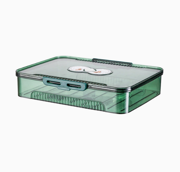 Chic Transparent Dumpling Keeper