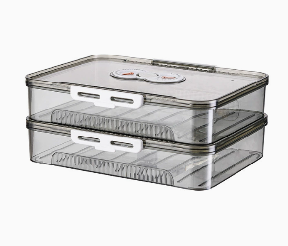 Chic Transparent Dumpling Keeper