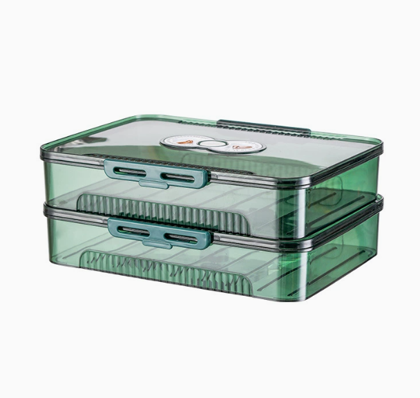 Chic Transparent Dumpling Keeper