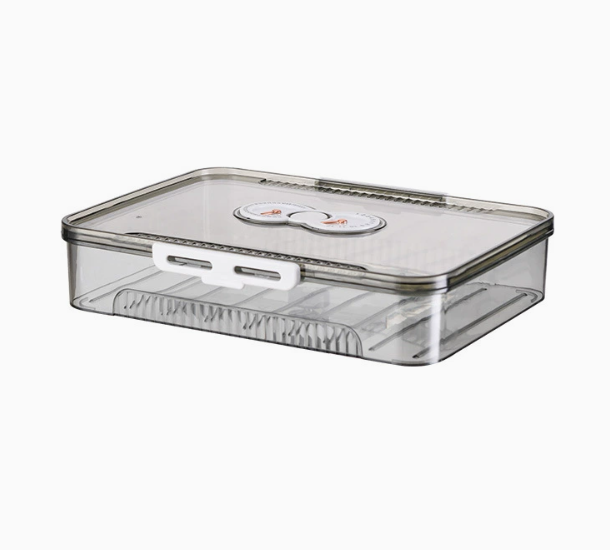 Chic Transparent Dumpling Keeper