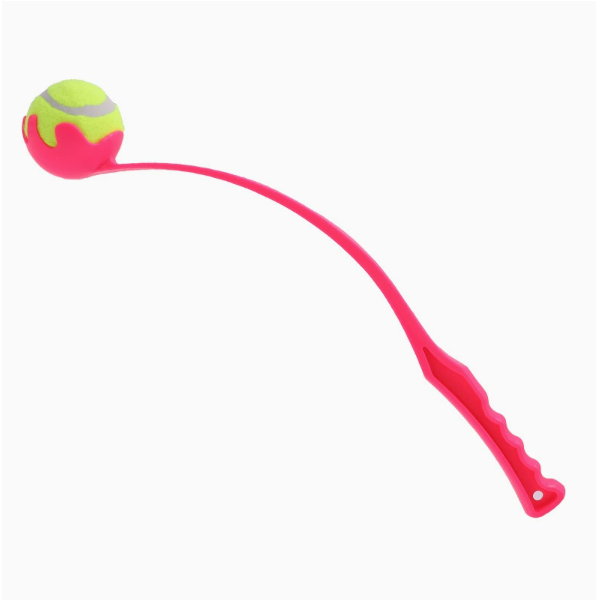 Fido's Fetch Master