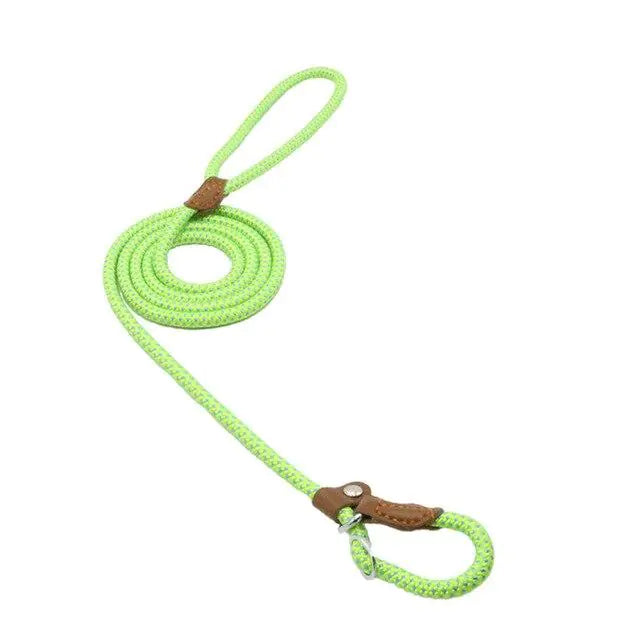Stylish Nylon Dog Collar & Leash