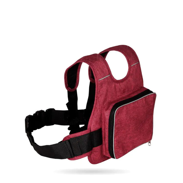 Child Ride Safety Harness