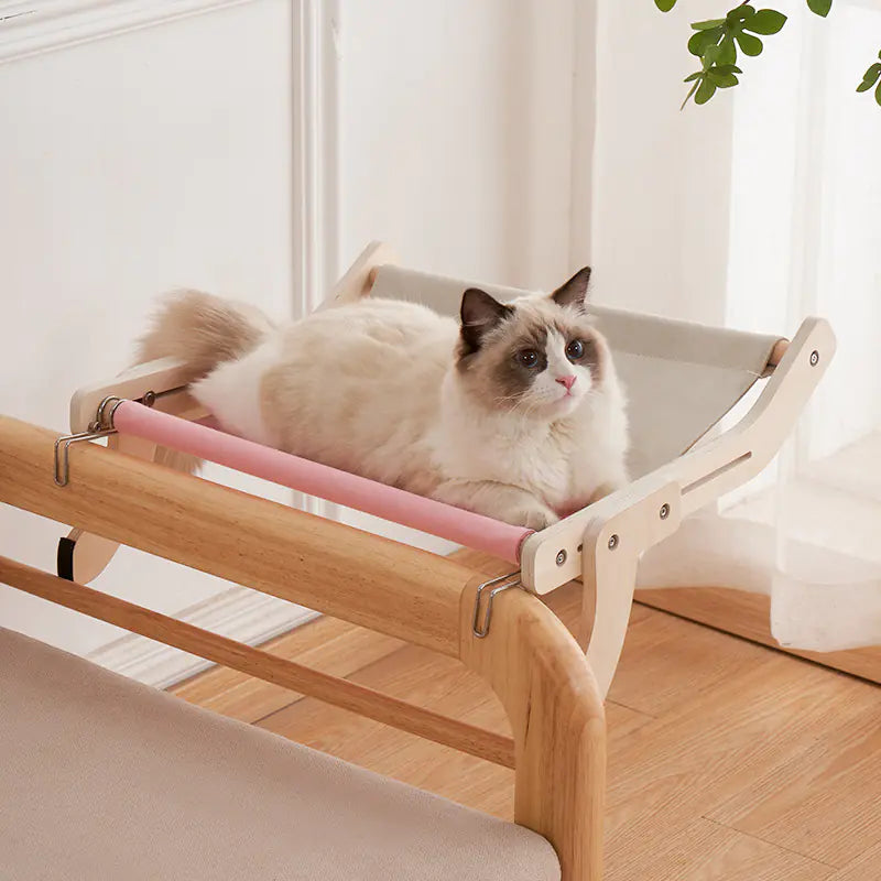 Kitty Window Lounge Bed