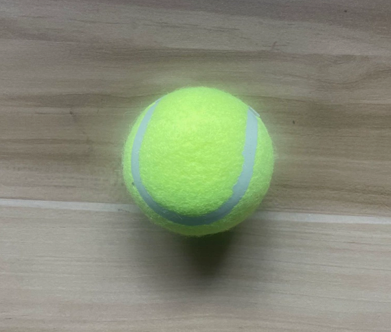 Fido's Fetch Master