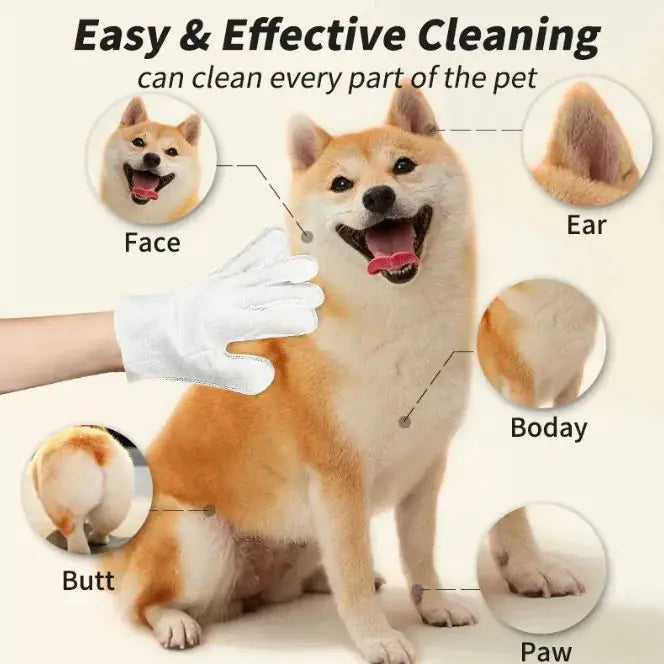 Complete Pet Clean Gloves & Wipes