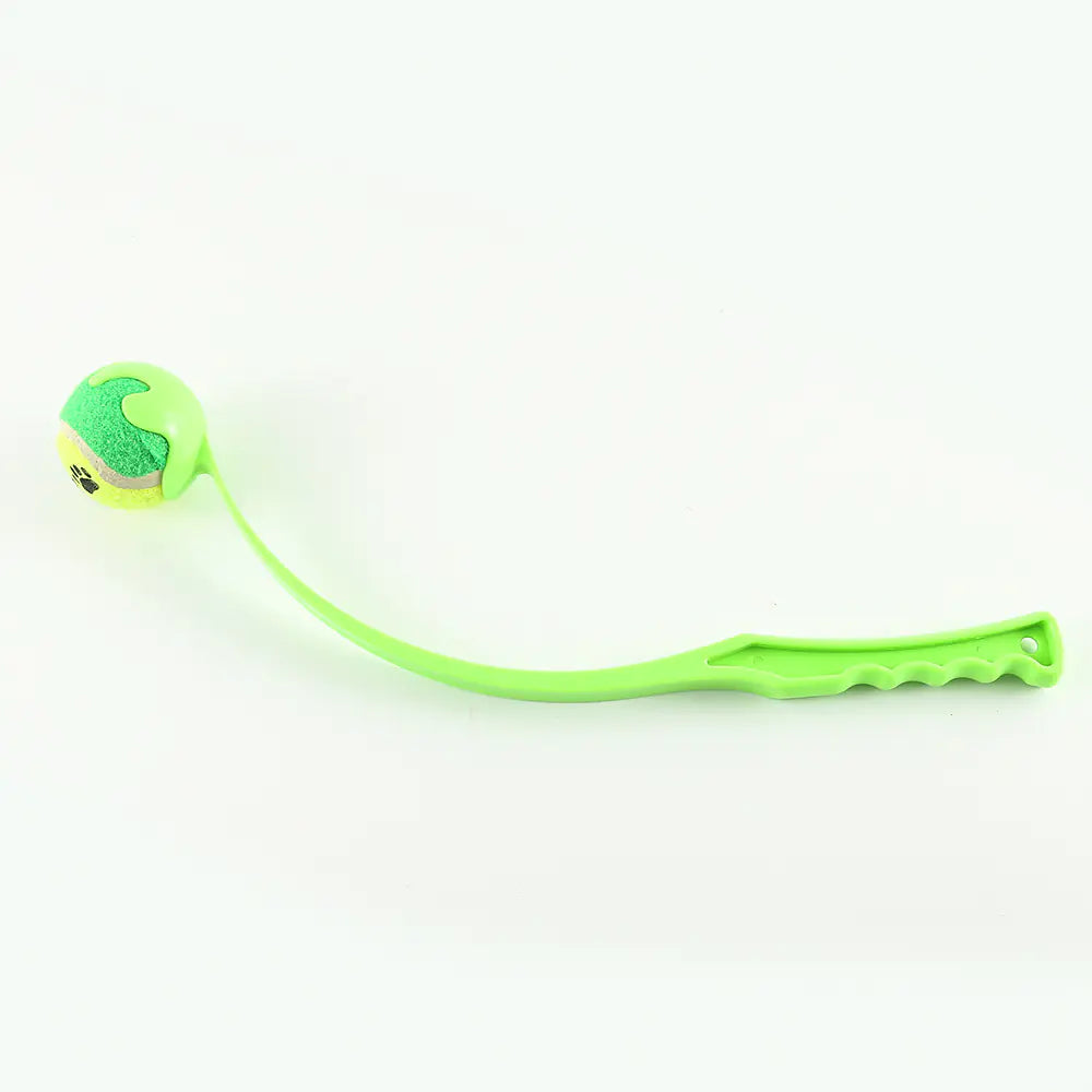 Fido's Fetch Master
