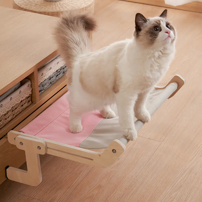 Kitty Window Lounge Bed
