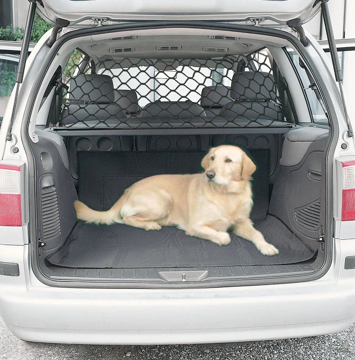 Pet Secure Car Net
