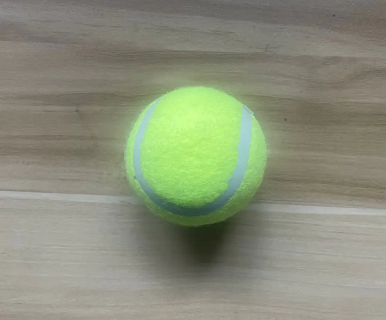 Fido's Fetch Master