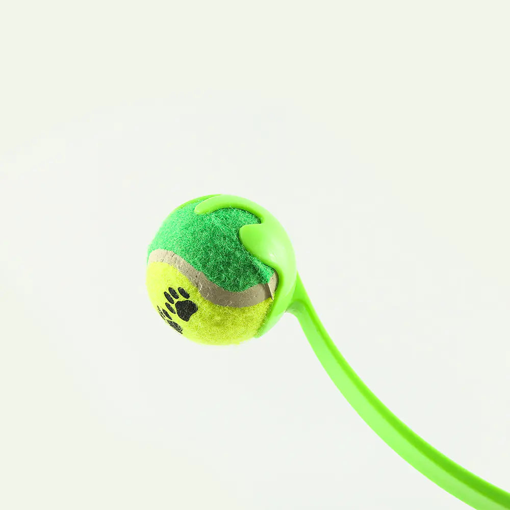 Fido's Fetch Master